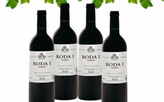 Знаменитые испанские Rioja wine (Вина Риохи) — как выбрать оригинал, как правильно подавать и виды напитка